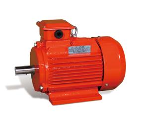 三相異步電動機(jī)